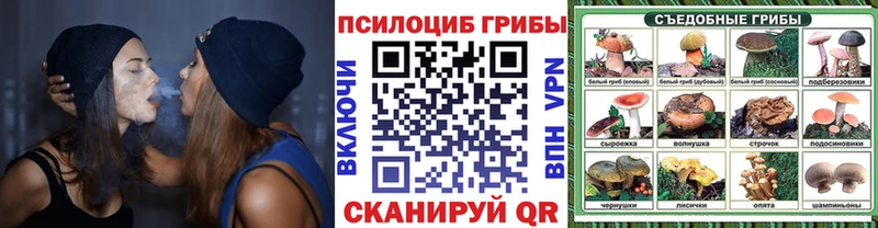 Псилоцибиновые грибы ЛСД  Сосновка 